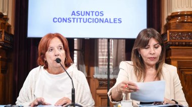 El Senado avanzó con la ley para limitar los DNU de Milei
