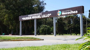 Concurso de manchas en el Parque Miguel Lillo: Importante premio y colaboración con la Escuela de Arte