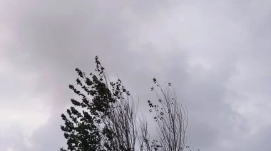 Cómo estará el clima en Necochea y Quequén este miércoles 26-11