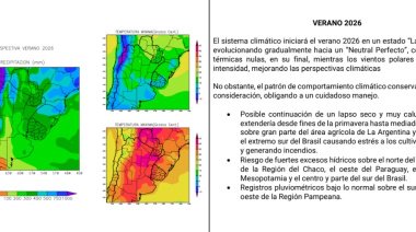 "Niña débil" y clima neutral: Las perspectivas del clima para el campo en la temporada 2025-2026