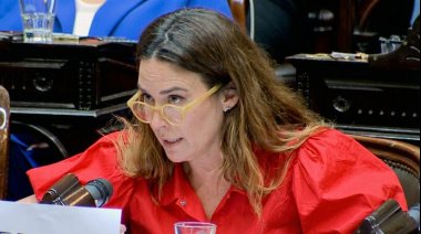 "La verdadera casta son ustedes": Video viral de Jimena López "domando" libertarios en el tratamiento del Presupuesto 2026