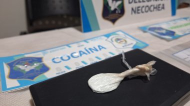 Secuestraron drogas en la Bresh