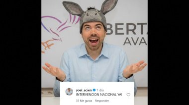 Burros libertarios: ¿Por qué Milei no podría intervenir Puerto Quequén?