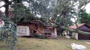 Fuerte temporal con granizo y ráfagas causó destrozos en Mar del Plata: más de 120 denuncias y barrios sin luz