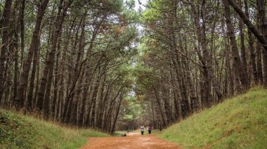 Cómo estará el clima en Necochea y Quequén este miércoles 04-02