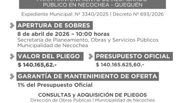 Transparencia 0: ¿En qué se gastará las Muni los 140 millones de pesos de la primera licitación del año?