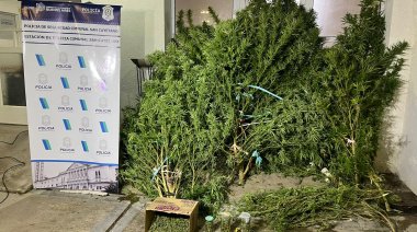 San Cayetano: Allanaron un domicilio y secuestraron marihuana