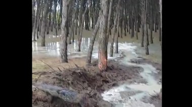 La estupidez a cargo: Hicieron mal la obra, quisieron arreglarla e inundaron un paseo turístico