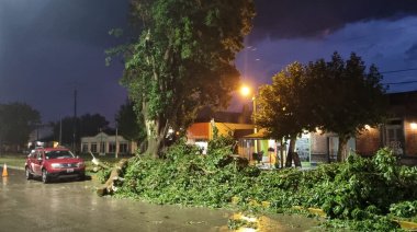 Temporal: El Banco Provincia lanzará una línea de créditos especiales para los damnificados