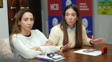 Inseguridad en los barrios: "Podemos intentar que se regule la presencia policial, aunque no depende de nosotros"