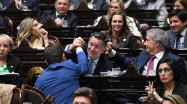 Diputados le dio media sanción a la "Ley Hojarasca" y ahora se debaten los cambios en el régimen de Zona Fría
