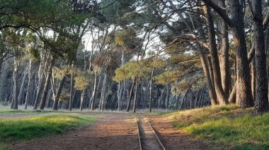 Cómo estará el clima en Necochea y Quequén este sábado 30-05