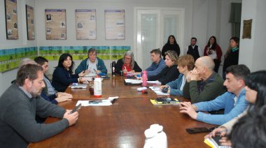 La tala de árboles en el Parque llegó al Concejo Deliberante: ¿Qué hay detrás?