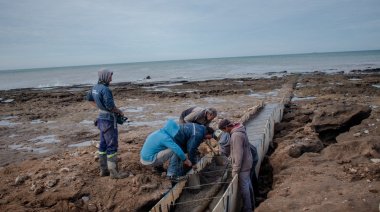 Puerto Ciudad: Comenzó la reparación del caño de Punta Carballido
