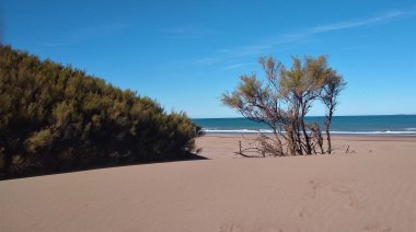 Cómo estará el clima en Necochea y Quequén este miércoles 17-06