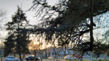 Cómo estará el clima en Necochea y Quequén este martes 07-07