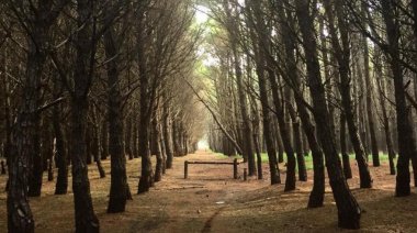 Cómo estará el clima en Necochea y Quequén este miércoles 22-07