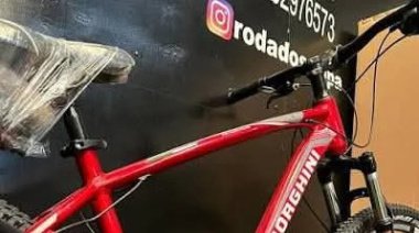 Ingresaron a una vivienda y robaron una bicicleta