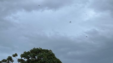 Cómo estará el clima en Necochea y Quequén este sábado 1-08