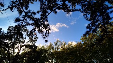 Cómo estará el clima en Necochea y Quequén este martes 04-08