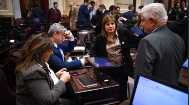 Ley de Propiedad Privada: El Gobierno eliminó el capítulo de venta de tierras a extranjeros para evitar que se caiga la sesión