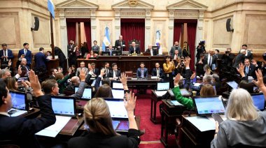 Tras el rechazo social, el oficialismo aprobó una ley desmembrada en el Senado