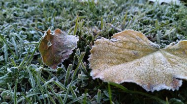 Cómo estará el clima en Necochea y Quequén este lunes 10-08