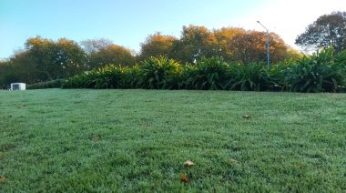Cómo estará el clima en Necochea y Quequén este martes 11-08