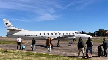 Vuelos entre Tres Arroyos y Buenos Aires siguen suspendidos tras el impacto de un tero en una turbina