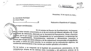 Denuncian a 4 funcionarios municipales por la destrucción de patrimonio público y una red de falsificaciones