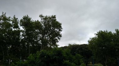 Cómo estará el clima en Necochea y Quequén este martes 25-08