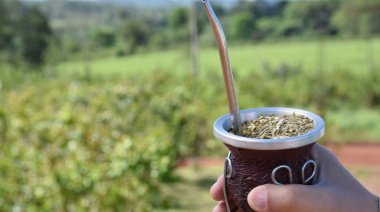 Misiones presiona para ponerle un piso al precio de la yerba y la iniciativa podría llegar directo a las góndolas