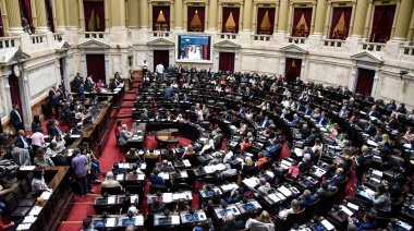 Diputados: La oposición avanzó en la discusión sobre el endeudamiento familiar y discapacidad