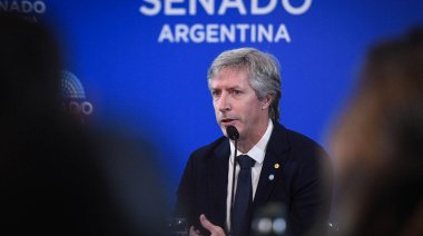 Santiago Bausili explicó en el Senado el destino de las reservas de oro en medio de tensiones cruzadas