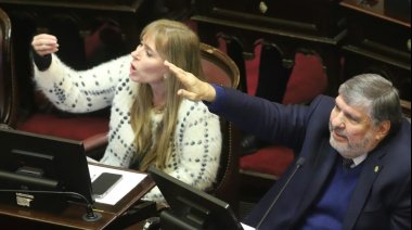 El peronismo en el Senado busca restituír la Ley de Tierras Rurales