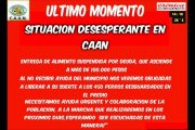 Amenazan con liberar a 450 perros callejeros por falta de fondos en CAAN