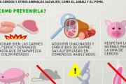 Bromatología lanza advertencias por triquinosis en Necochea