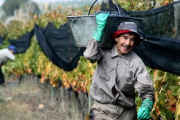 RENATRE subirá el seguro de desempleo de peones rurales a 70.200 pesos