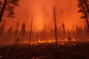 Temporada de fuegos: Los 5 incendios forestales más grandes de la región en los últimos años