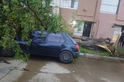 Fotos luego del temporal: Un árbol aplastó a un auto en calle 28 y silos de una planta cerealera de Quequén quedaron destruidos