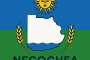 Convocarán a las escuelas del distrito para la creación de la Bandera de Necochea