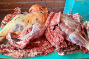 Ruta 86: Desbarataron una red de faena clandestina y venta ilegal de carne en redes sociales