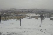 Ola polar: En Córdoba más de 50 localidades marcaron temperaturas bajo cero