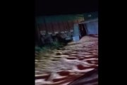 Alerta en Ruta 228: Un camión volcado obstaculiza el ingreso a Necochea