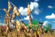 Milei prorrogó retenciones reducidas para trigo y cebada, pero vuelven los aumentos para soja, maíz y girasol