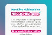 Pase Libre Multimodal: Entregarán en el Puerto subsidios al transporte para personas con discapacidad