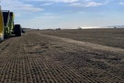 Limpian las playas en Necochea con una máquina que trajo López (y que Nueva Necochea se empeña en eliminar)
