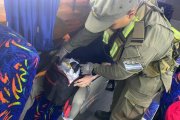 Detuvieron a un hombre con más de un kilo de cocaína en un colectivo rumbo a Bariloche