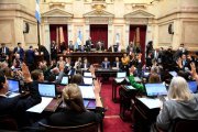 Tras el rechazo social, el oficialismo aprobó una ley desmembrada en el Senado