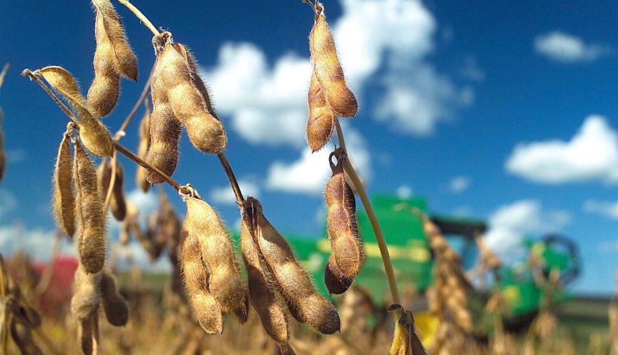 Milei prorrogó retenciones reducidas para trigo y cebada, pero vuelven los aumentos para soja, maíz y girasol